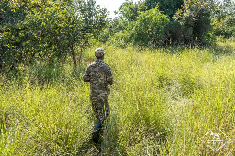 Safari à pied au Ziwa Rhino Sanctuary