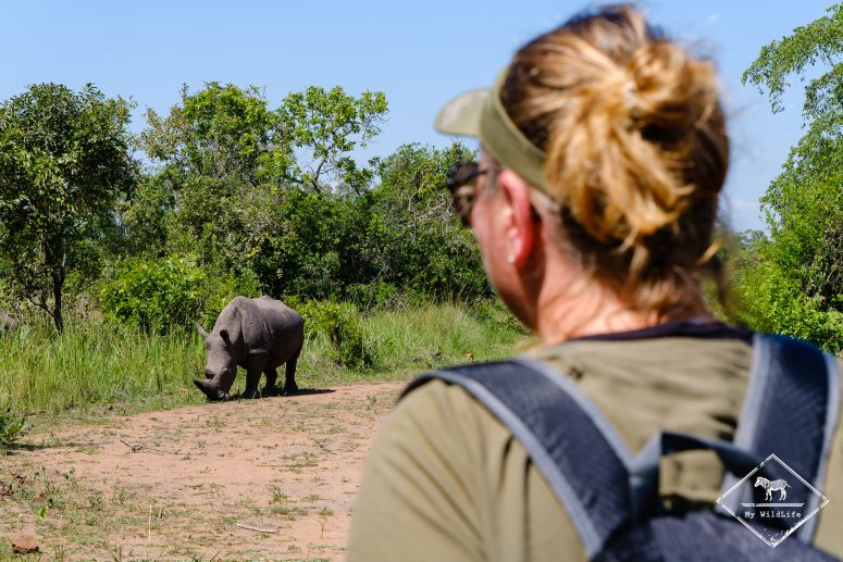 Safari à pied au Ziwa Rhino Sanctuary
