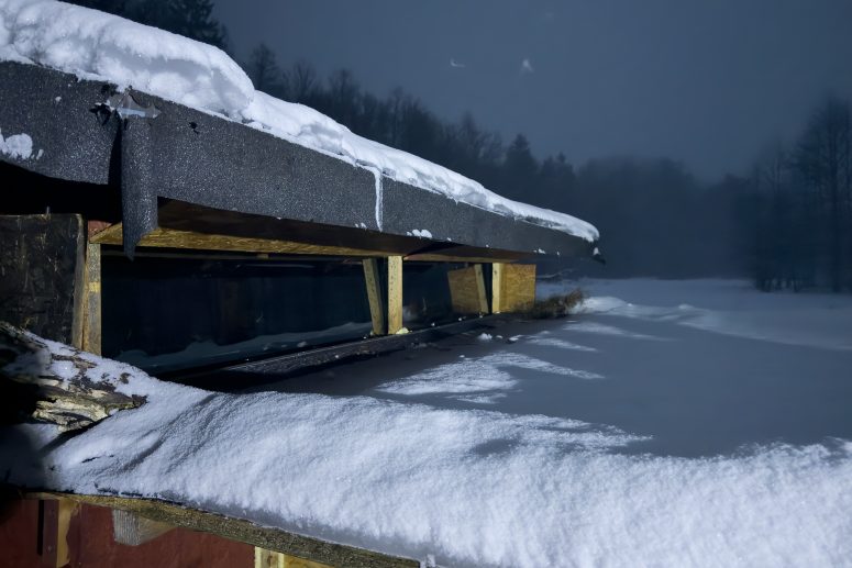 Affût photo hivernal