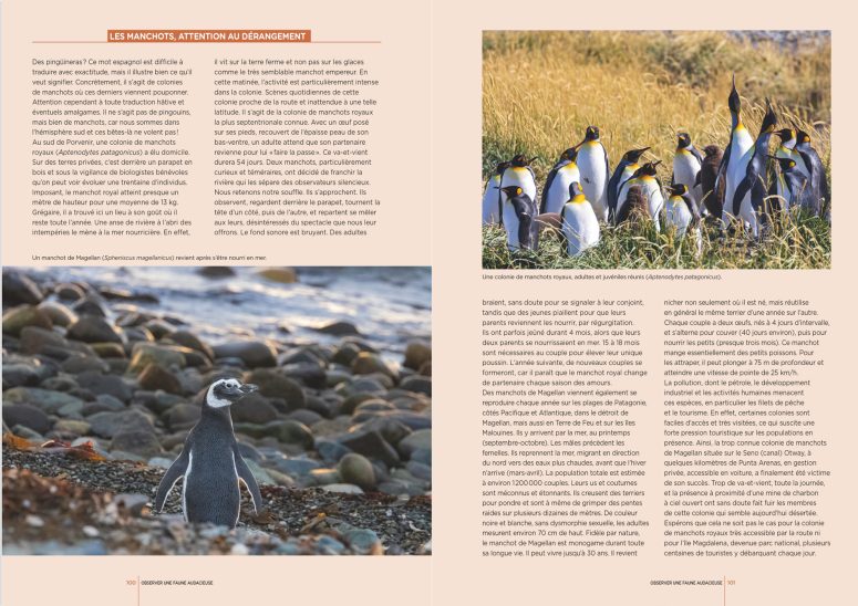 Patagonie : Les clés pour bien voyager