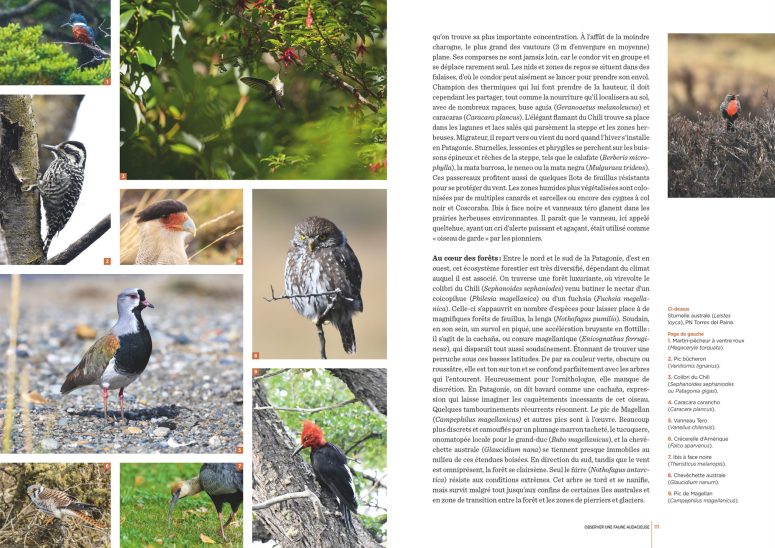 Patagonie : Les clés pour bien voyager