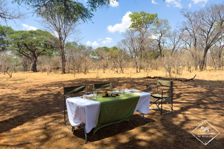 Déjeuner dans le bush, Somalisa CAmp