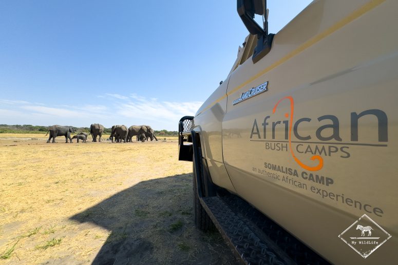 Arrêt petit-déjeuner en safari, Somalisa Camp