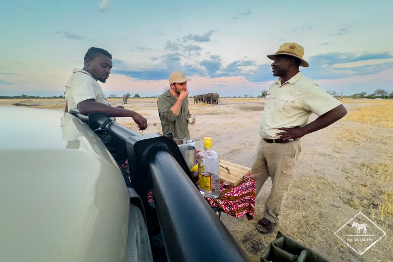 Arrêt apéro pendant le safari de l'après-midi, Somalisa Camp