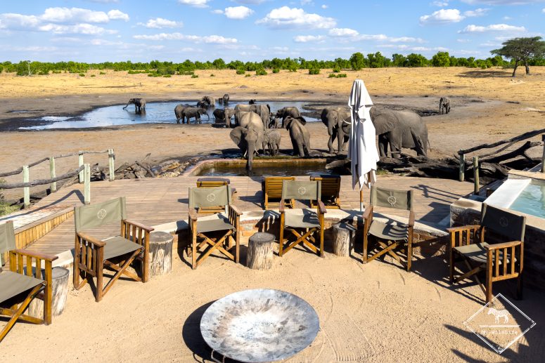 Les éléphants au Somalisa Camp, Hwange