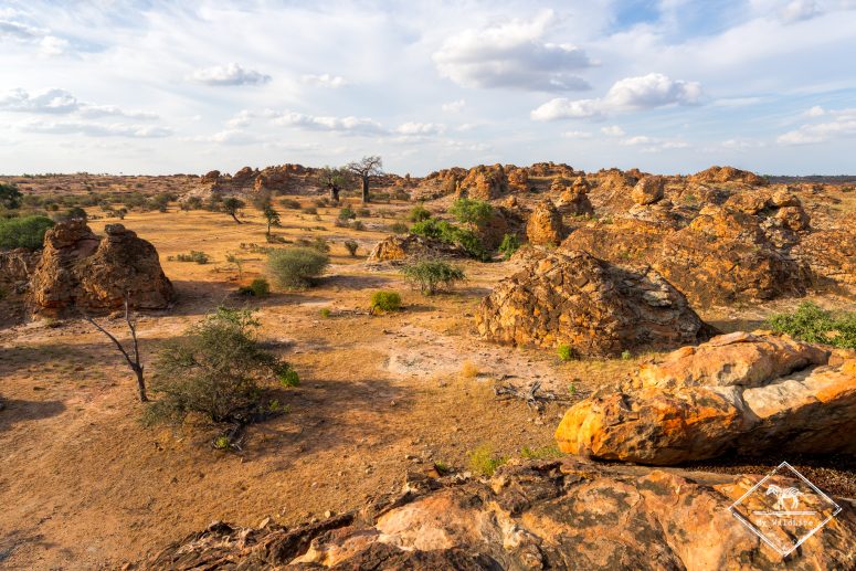 Mashatu Game Reserve