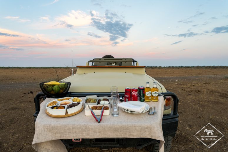 Pause apéro, Mashatu Game reserve