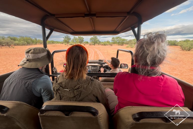 Safari, Mapesu Game Reserve