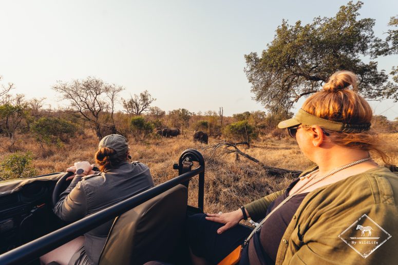 Safari avec l'Umkumbe Safari Lodge Riverside