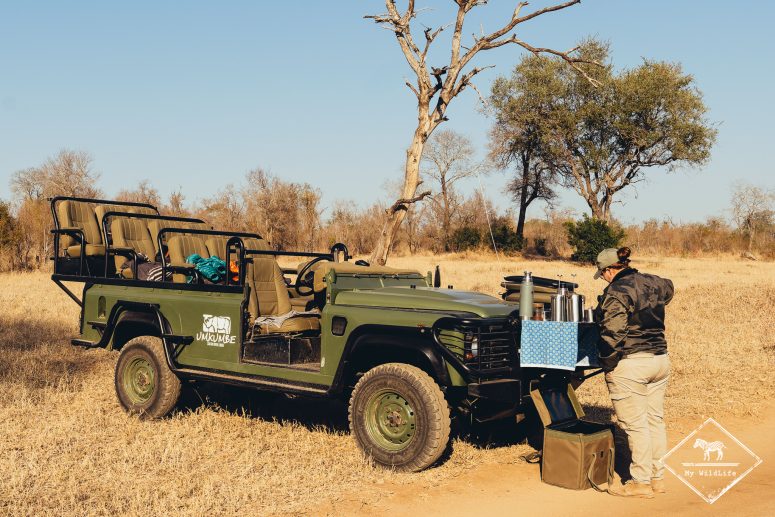 Pause safari avec l'Umkumbe Safari Lodge Riverside