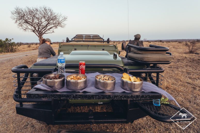 Pause safari avec l'Umkumbe Safari Lodge Riverside