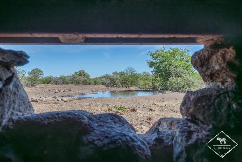 Affût, Mashatu Tent Camp