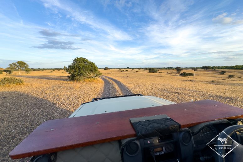 Mashatu Game Reserve