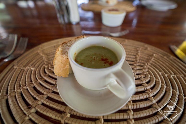 Entrée, Mashatu Tent Camp