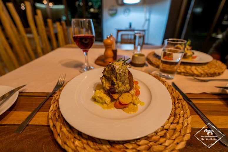 Euphorbia Mashatu Lodge