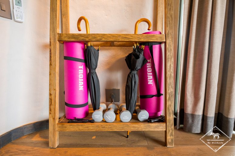 Ustensiles pour la gym, Euphorbia Mashatu Lodge