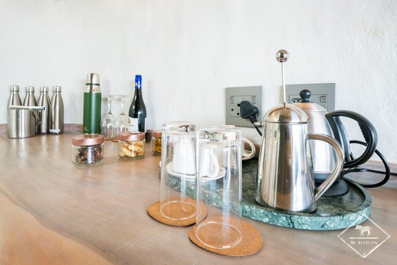 Euphorbia Mashatu Lodge