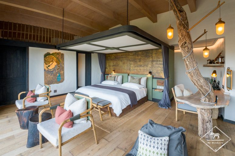 Euphorbia Mashatu Lodge