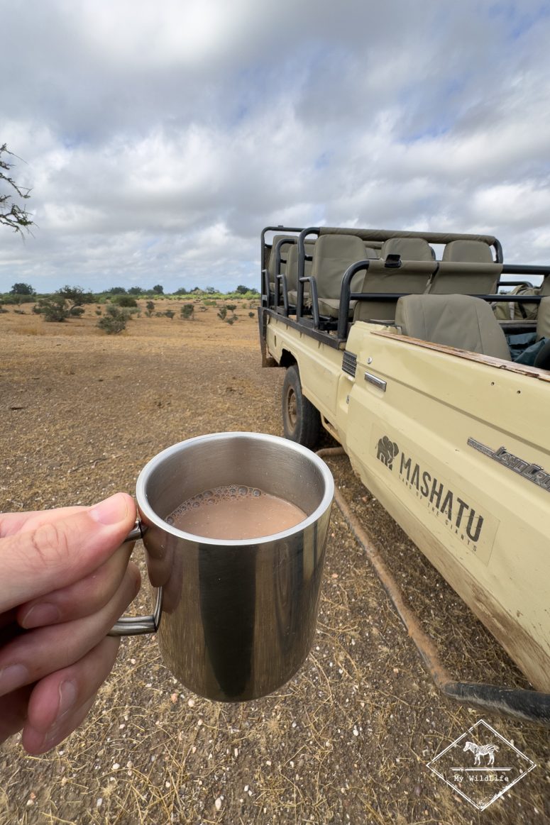 Pause safari, Mashatu