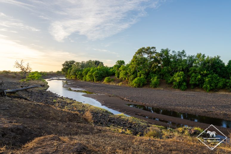 Mashatu après la pluie