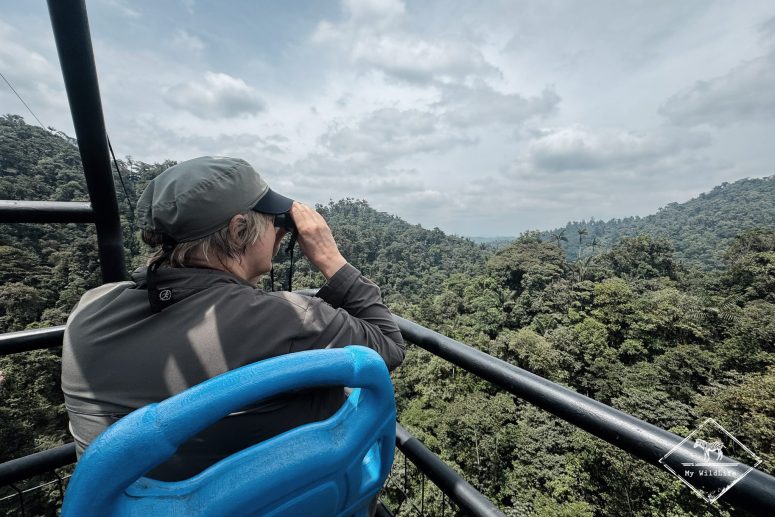 Depuis le dragonfly, Mashpi