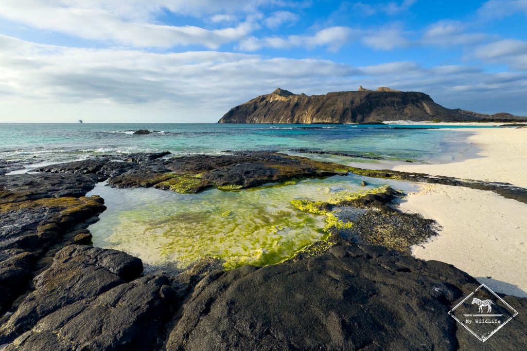 croisière photo aux galápagos
