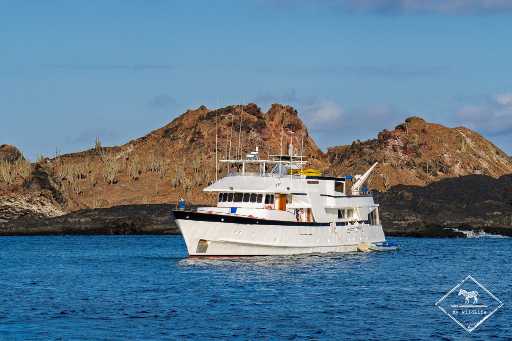 croisière photo aux galápagos