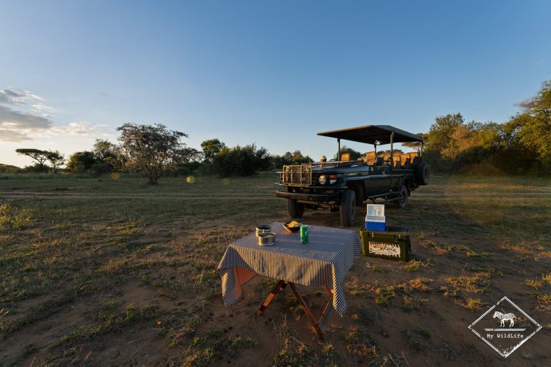 Pause safari, Welgevonden Game reserve