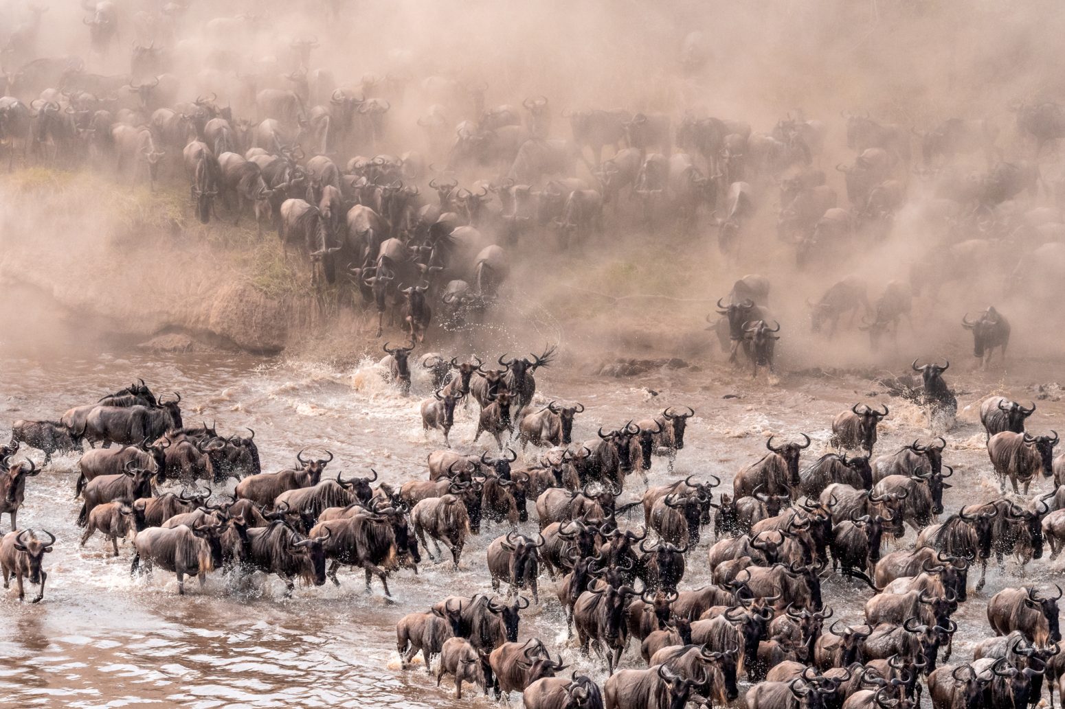 guide-de-la-grande-migration-des-gnous-kenya-et-tanzanie