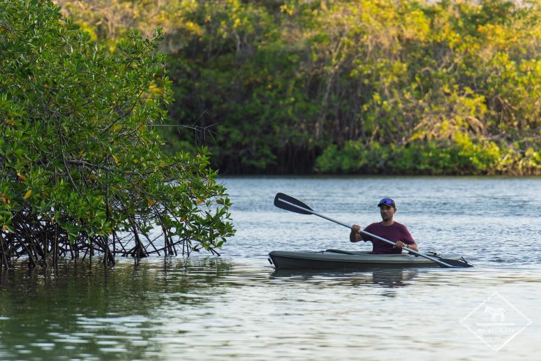 Kayak, Galápagos