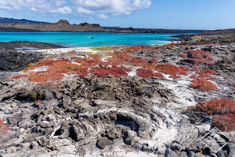 Sombrero Chino, Galápagos