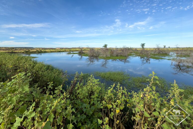 Parc national Mapungubwe