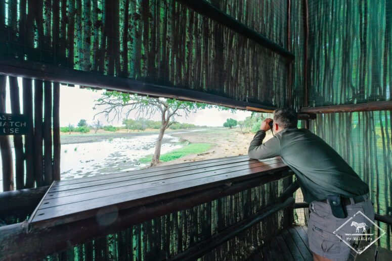Maloutswa Bird Hide, Parc national Mapungubwe