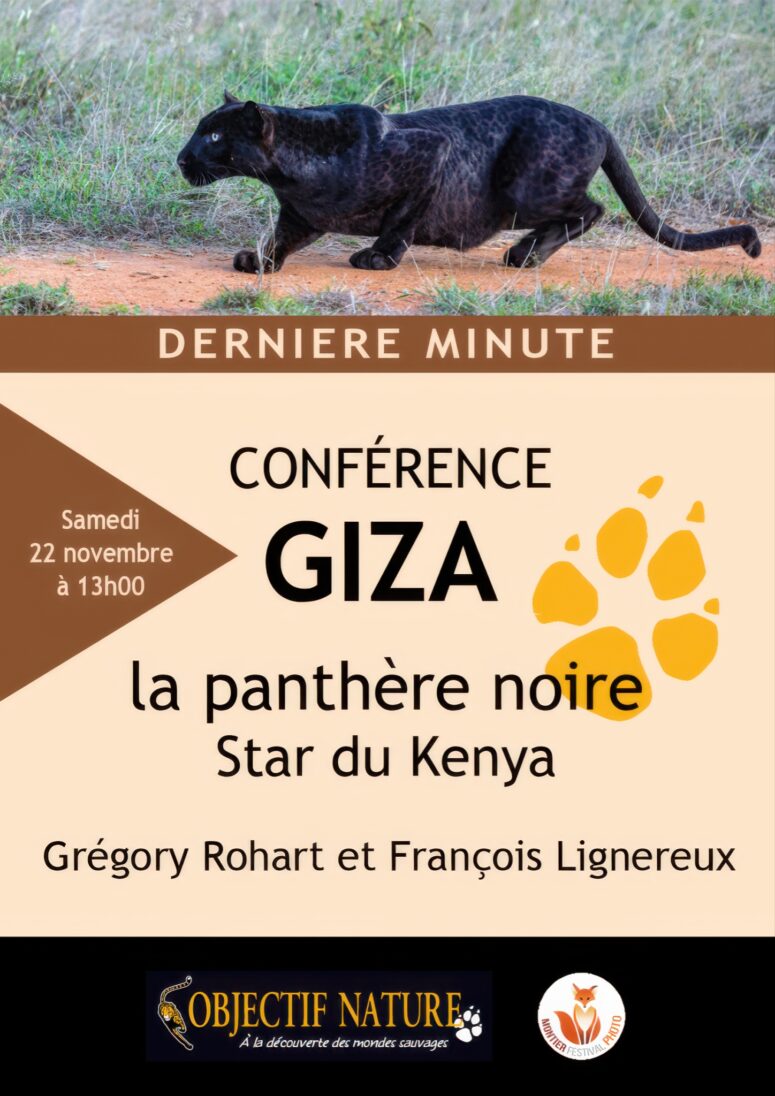 Conférence Léopard Noir