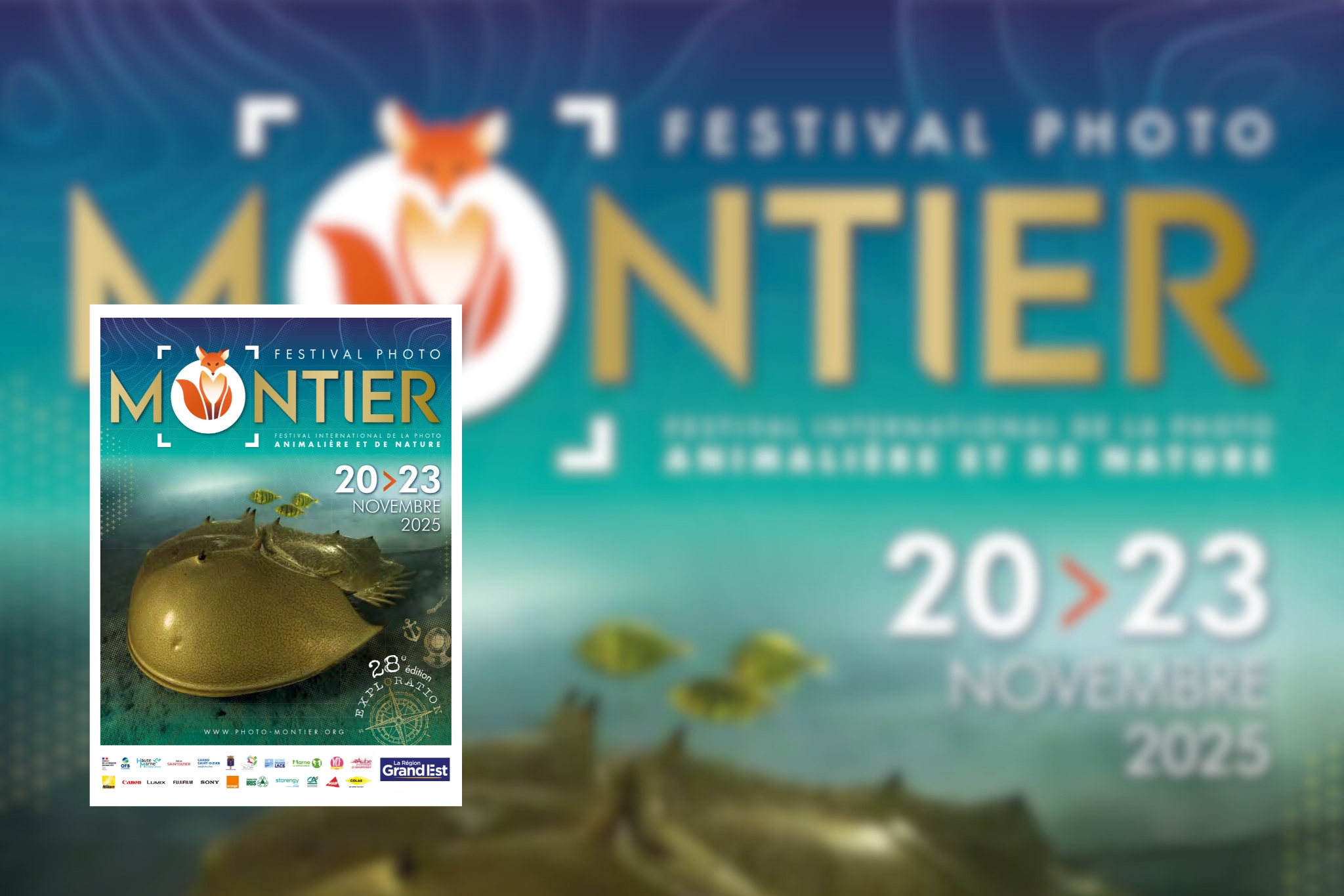 28ᵉ édition du Festival International de la Photo Animalière et de Nature de Montier-en-Der