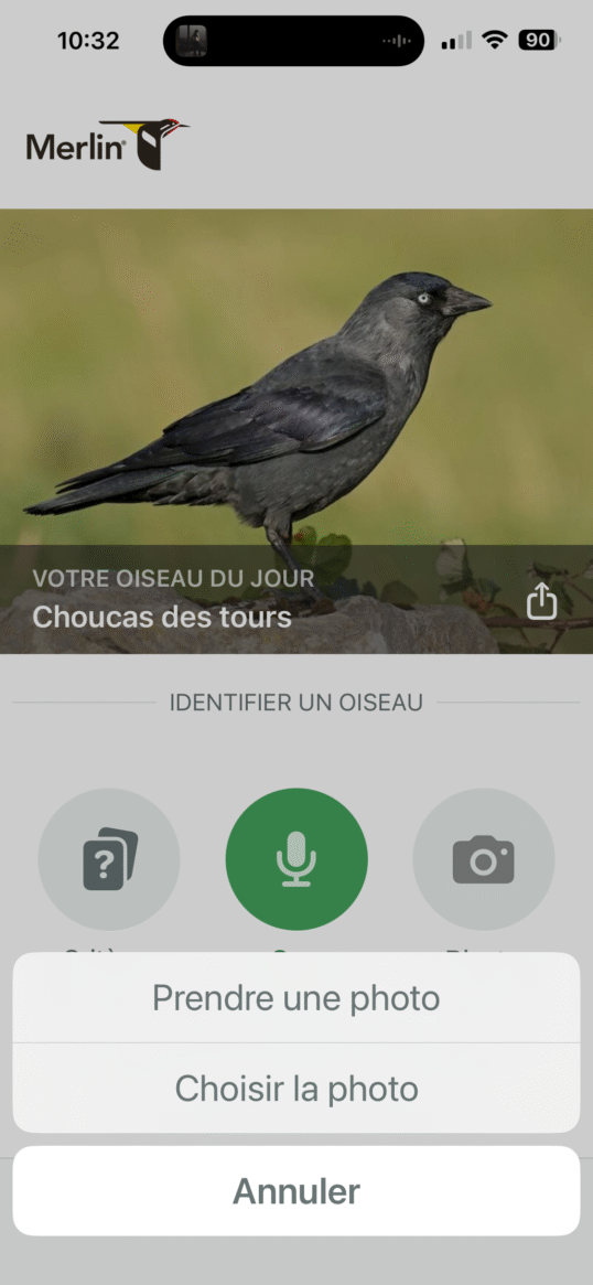 Prendre ou importer une photo dans Merlin Bird Bid