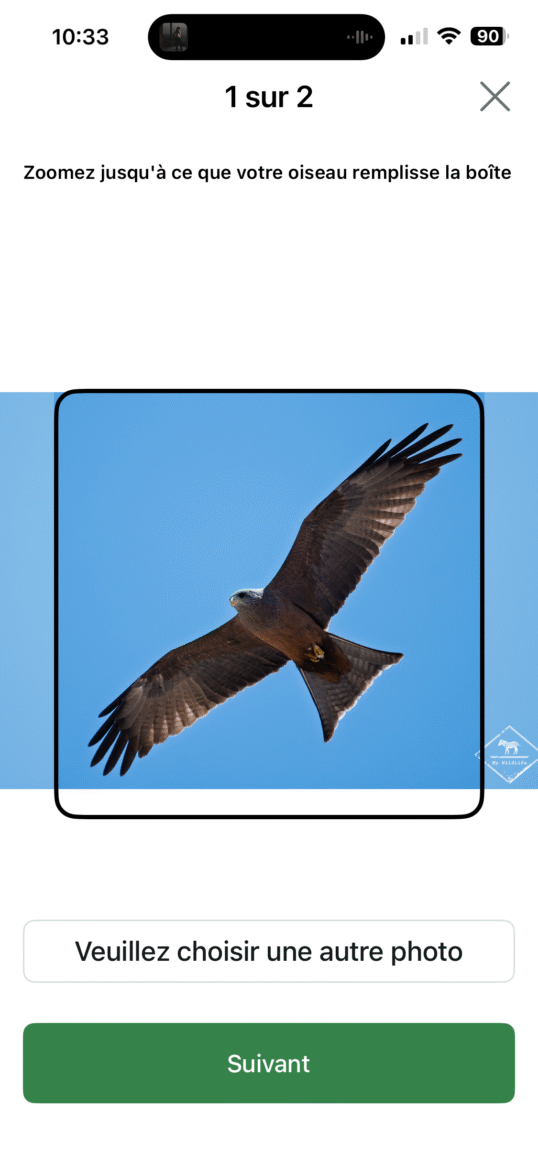 Importation d'une photo dans Merlin Bird ID pour identification