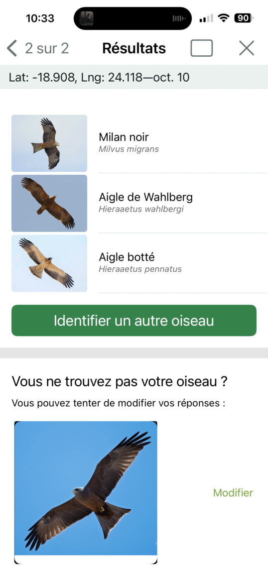 Proposition d'idetification de Merlin Bird ID