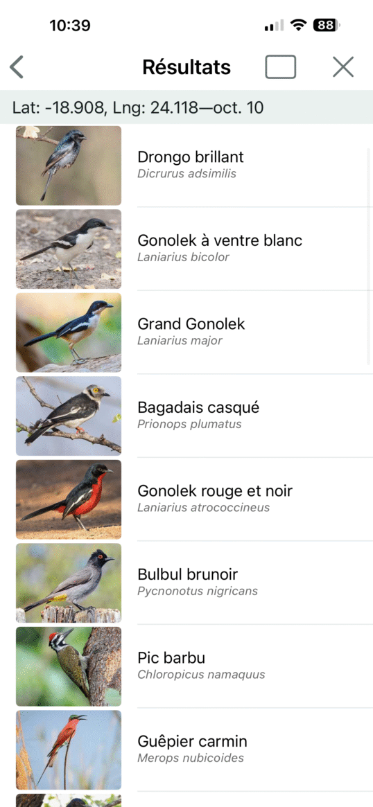 Les résultats proposés par Merlin Bird ID selon les critères