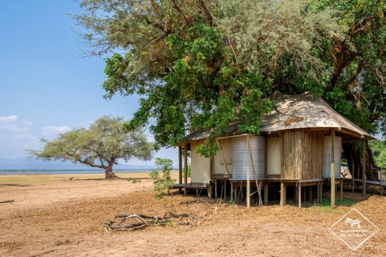 Nyamatusi Camp, Mana Pools