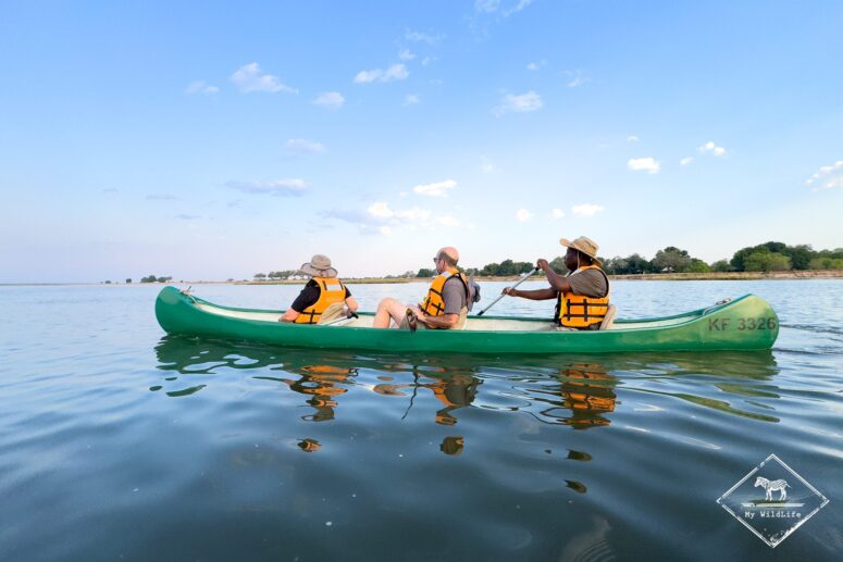 Safari en canoë à Mana Pools