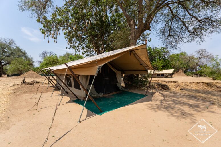 Zambezi Expedition Camp, Mana Pools