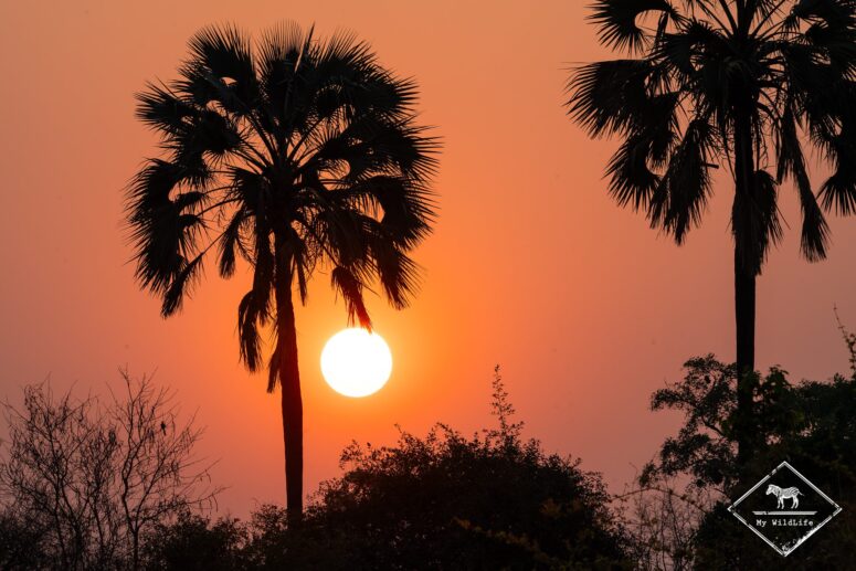 Coucher de soleil, Mana Pools