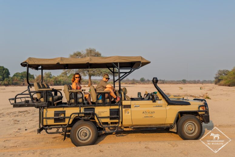 Safari 4x4 à Mana Pools