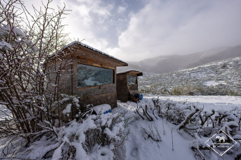 Affût, Monts Cantabriques