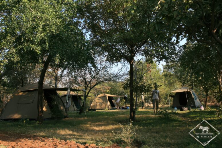 Camping au parc national du lac Manyara