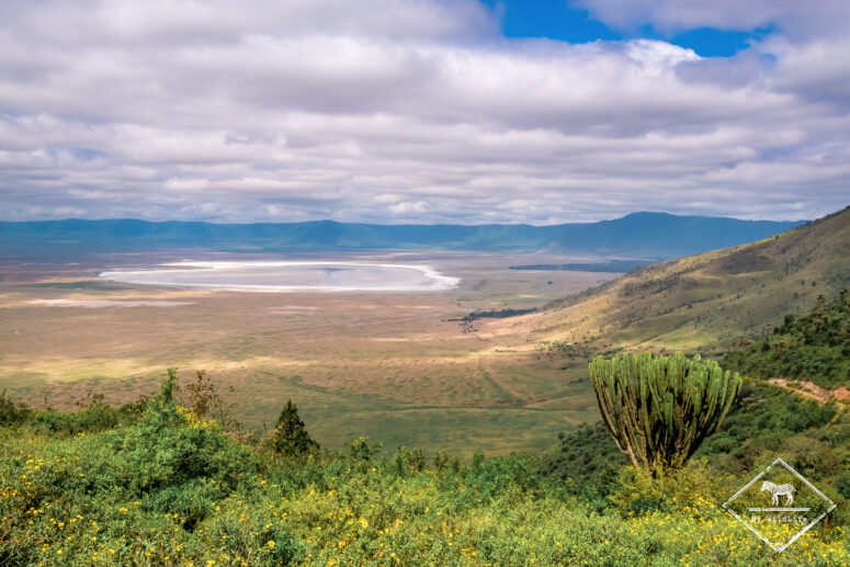 Cratère Ngorongoro, Tanzanie