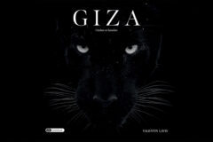 Giza: Ombre et lumière