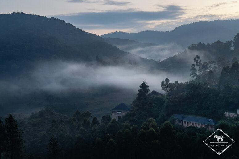 Dans les environs de Bwindi