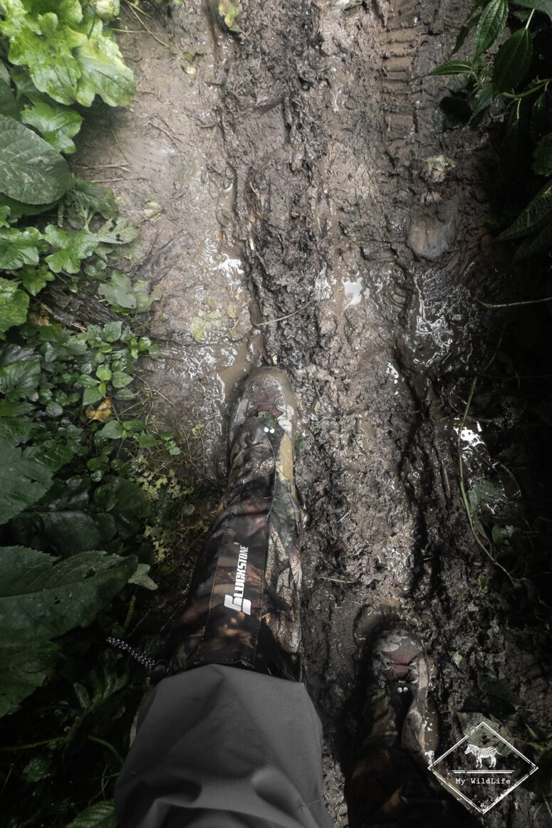 Chemin boueux, Bwindi